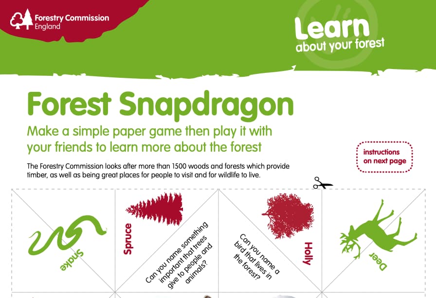 Forest Snapdragon