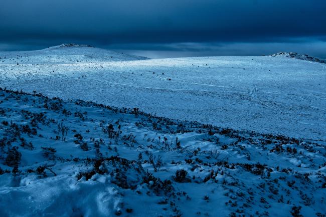 Bennachie