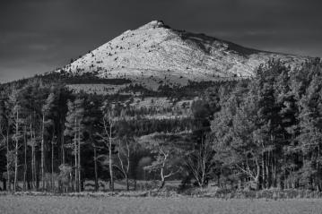 Bennachie